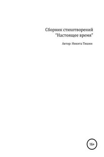 Настоящее время - Никита Тишин
