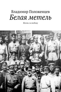 Белая метель. Жизнь за свободу - Владимир Положенцев
