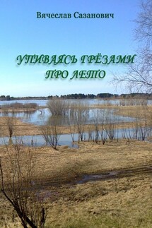 Упиваясь грёзами про лето - Вячеслав Сазанович