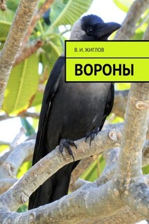Вороны - В. Жиглов