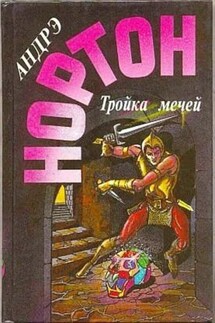 Тройка мечей - Андрэ Нортон