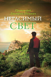 Негасимый свет. Рассказы и очерки - Димитрий Шишкин