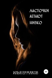 Ласточки летают низко - Илья Ермаков