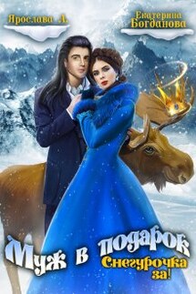 Муж в подарок. Снегурочка за! - Екатерина Богданова, Ярослава А
