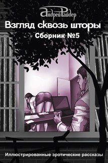 Взгляд сквозь шторы. Сборник №5 - Андрей Райдер
