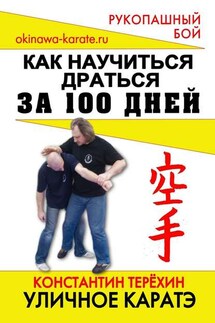 Уличное каратэ. Как научиться драться за 100 дней - Константин Терехин