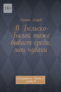 В Бельско-Бялой тоже бывает среда, мои чуваки. СоZерцатель. Часть 2. Глава 9 - Антон Барев