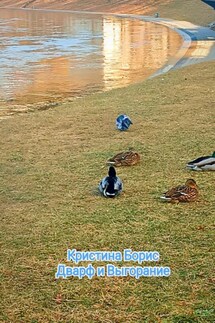 Дварф и выгорание - Кристина Борис