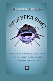Прогулка вниз - Ярослав Астахов