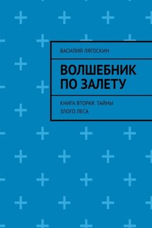 Волшебник по залету. Книга вторая. Тайны Злого Леса - Василий Лягоскин