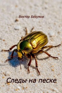 Следы на песке - Виктор Безумов