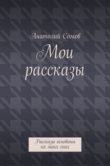 Мои рассказы. Рассказы основаны на моих снах - Анатолий Сомов