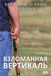 Взломанная вертикаль - Владимир Коркин (Миронюк)