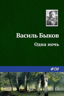 Одна ночь - Василий Быков