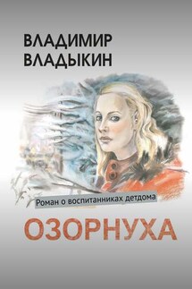 Озорнуха. Роман о воспитанниках детдома - Владимир Владыкин