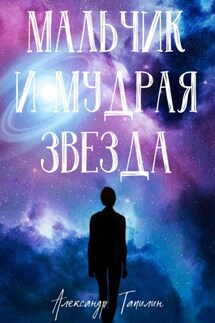 Мальчик и Мудрая Звезда - Александр Тапилин