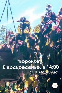 «Воронову. В воскресенье, в 14:00» - Ольга Морозова