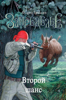 Второй шанс - Андрей Ерпылев