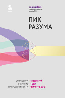 Пик разума. Сфокусируй внимание на продуктивности. Инвестируй в себя 12 минут в день - Амиши Джа