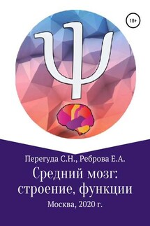 Средний мозг: строение и функции - Елена Анатольевна Реброва, Сергей Николаевич Перегуда