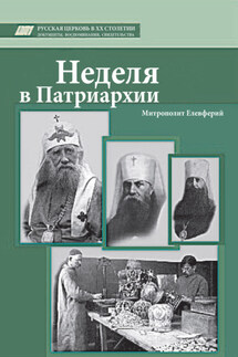Неделя в Патриархии - Елевферий Богоявленский