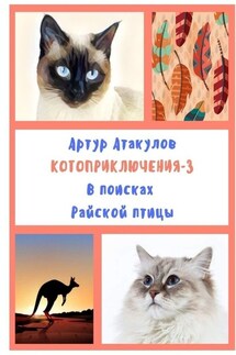Котоприключения-3. В поисках Райской птицы - Артур Атакулов