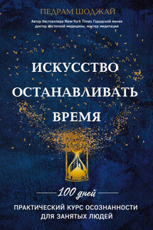 Искусство останавливать время - Педрам Шоджай