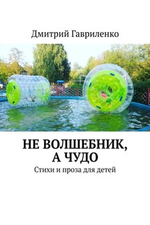 Не волшебник, а чудо. Стихи и проза для детей - Дмитрий Гавриленко