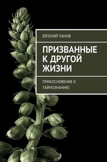 Призванные к другой жизни. Прикосновение к тайнознанию - Евгений Панов