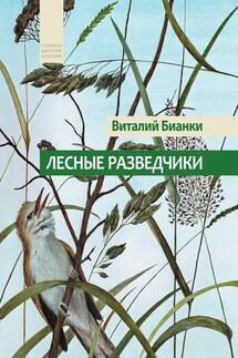 Лесные разведчики (сборник) - Виталий Бианки