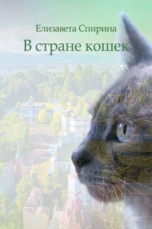 В стране кошек - Елизавета Спирина