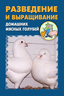 Разведение и выращивание домашних мясных голубей - Илья Мельников, Александр Александрович Ханников