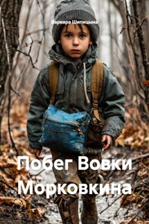 Побег Вовки Морковкина - Шипицына Варвара