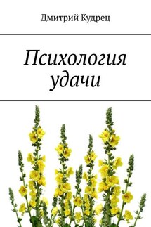 Психология удачи - Дмитрий Кудрец