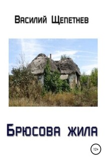 Брюсова жила - Василий Щепетнев