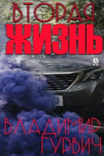 Вторая жизнь - Владимир Гурвич