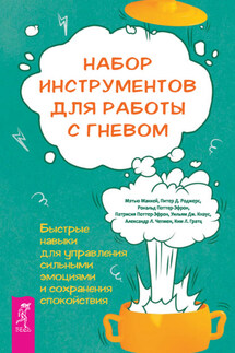 Набор инструментов для работы с гневом: быстрые навыки для управления сильными эмоциями и сохранения спокойствия - Рональд Поттер-Эфрон, Питер Д. Роджерс