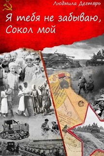 Я тебя не забываю, Сокол мой - Людмила Дегтярь