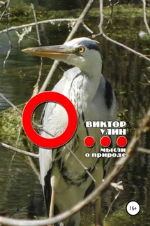 О - Виктор Улин