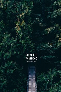Это не минус - Анатолий Пак