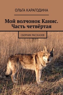 Мой волчонок Канис. Часть четвёртая. Сборник рассказов - Ольга Карагодина
