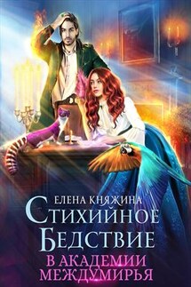 Стихийное бедствие в Академии Междумирья - Елена Княжина
