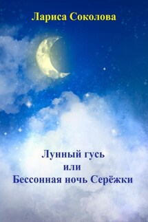 Лунный гусь, или Бессонная ночь Серёжки - Лариса Соколова