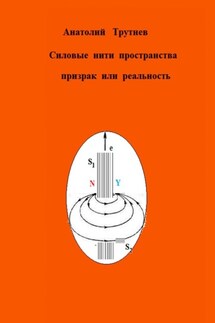 Силовые нити пространства призрак или реальность - Анатолий Трутнев