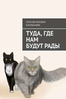 Туда, где нам будут рады - Агата Колобанова