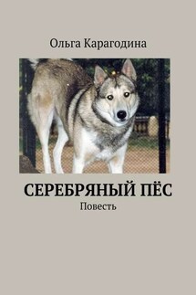 Cеребряный пёс. Повесть - Ольга Карагодина