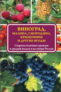 Виноград, малина, смородина, крыжовник и другие ягоды - Виктор Жвакин