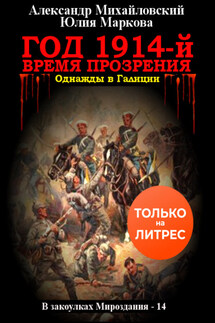 Год 1914-й. Время прозрения - Александр Борисович Михайловский, Юлия Викторовна Маркова