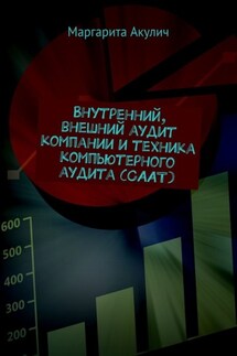 Внутренний, внешний аудит компании и техника компьютерного аудита (CAAT) - Маргарита Акулич