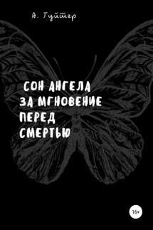 Сон ангела за мгновение перед смертью - Александр Гуйтер
